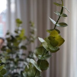 Kunsttak Eucalyptus 75 cm