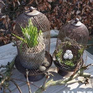 Gaas stolp in 2 maten 30 - 34 cm
