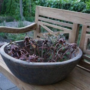 Prachtige diepe XL houten schaal Doorsnede 56 cm