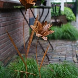 Tuinsteker Lelie 2 maten 110 - 85 cm