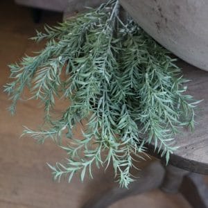 Bosje Tym bush grey powder 55 cm