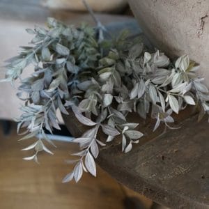 Bosje Buxus bush powder burgundy 55 cm