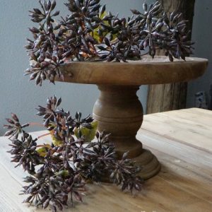 Decoratieve faux seed-pod tak – bundel van 5 (32 cm)