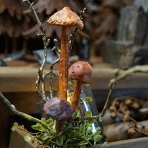 Herfst tak 30 cm