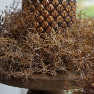 Natuurlijke Namaak Asparagus Krans – Bruin