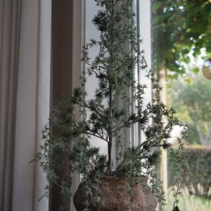 Kunst Ceder Boompje 90 cm – Elegant vergrijsd met natuurlijke charme