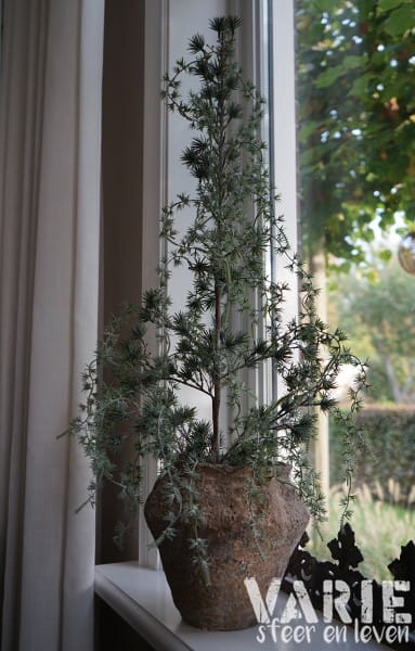 Kunst Ceder Boompje 90 cm – Elegant vergrijsd met natuurlijke charme