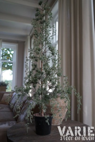 Kunst Ceder Boompje 90 cm – Elegant vergrijsd met natuurlijke charme - Afbeelding 10