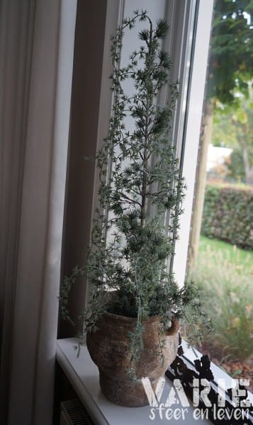 Kunst Ceder Boompje 90 cm – Elegant vergrijsd met natuurlijke charme - Afbeelding 4