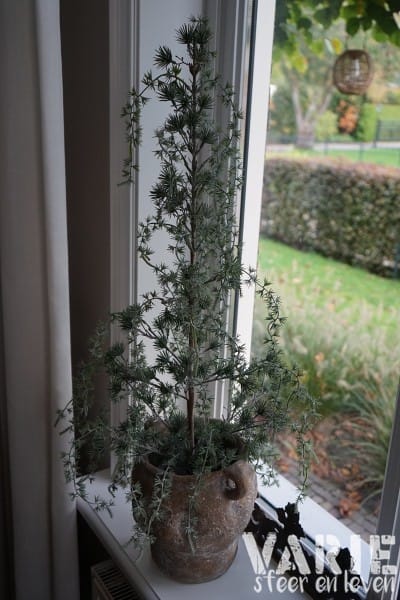 Kunst Ceder Boompje 90 cm – Elegant vergrijsd met natuurlijke charme - Afbeelding 3