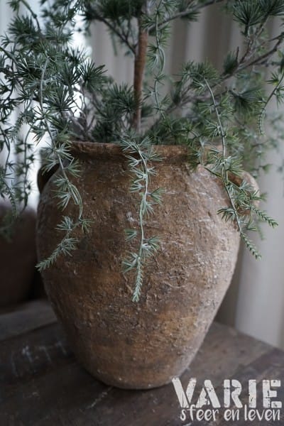 Kunst Ceder Boompje 90 cm – Elegant vergrijsd met natuurlijke charme - Afbeelding 5