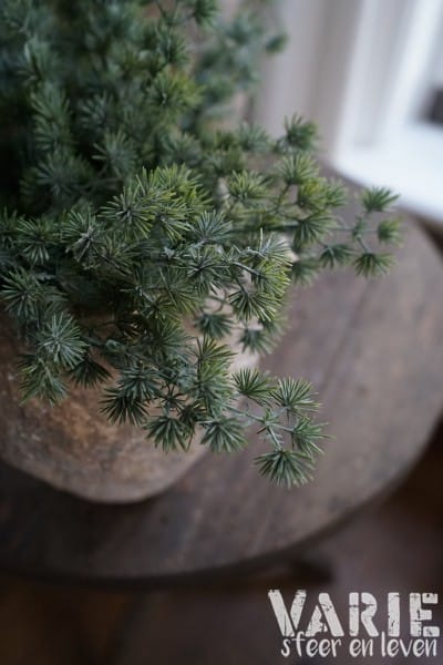 Vergrijsde groene lariks takjes – bundeltje 30 cm - Afbeelding 7