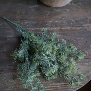 Vergrijsde groene lariks takjes – bundeltje 30 cm