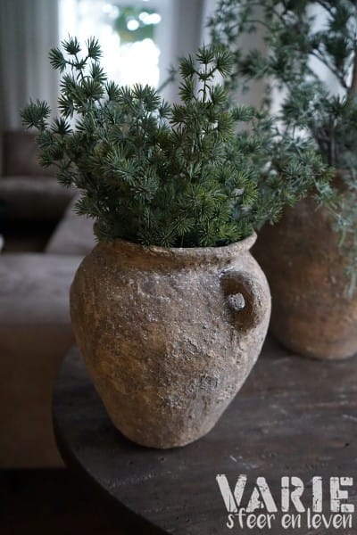 Vergrijsde groene lariks takjes – bundeltje 30 cm - Afbeelding 2