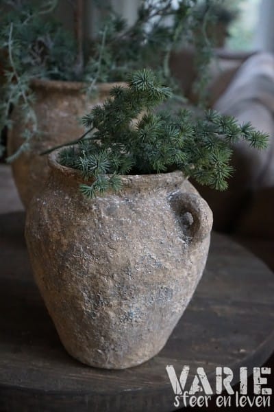 Vergrijsde groene lariks takjes – bundeltje 30 cm - Afbeelding 6
