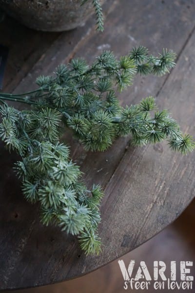 Vergrijsde groene lariks takjes – bundeltje 30 cm - Afbeelding 3