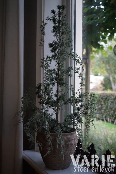 Prachtige robuuste pot “Bart” – Verkrijgbaar in 2 maten (H 15 cm & 21 cm) - Afbeelding 6