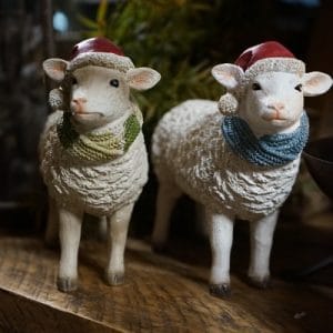 Charmante kerstschaapjes (Crème & Wit)