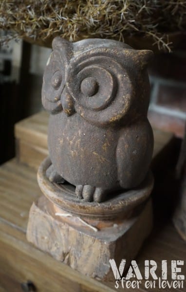 Zware stenen uil – €9,95 - Afbeelding 3