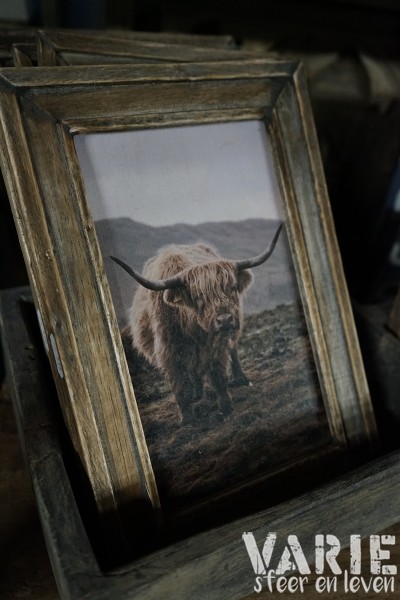 Houten lijst – Hooglander print (2 varianten: staand & liggend) 🐄✨