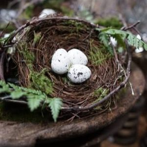 Schattig Countryfield nestje