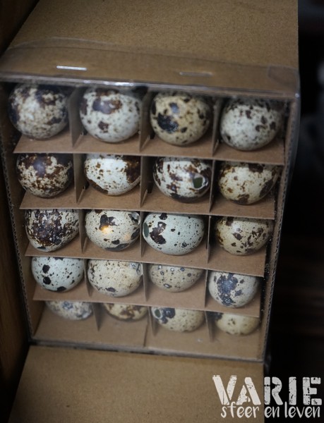 Kwarteleitjes in doosje – 60 stuks - Afbeelding 4