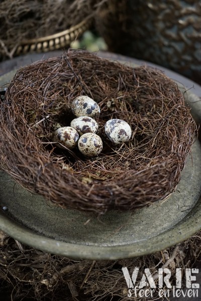 Kwarteleitjes in doosje – 60 stuks - Afbeelding 2