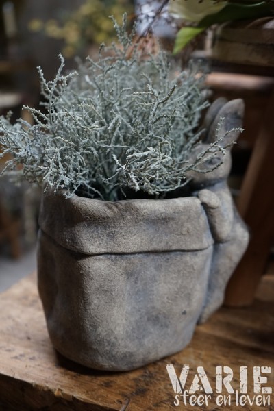 Zilverstruikje kunst - Afbeelding 2