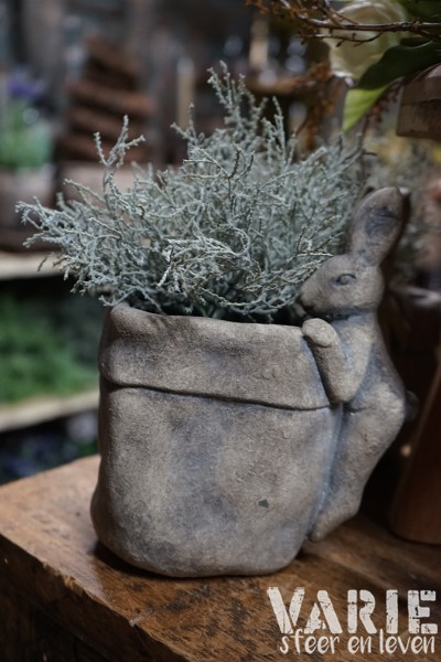 Zilverstruikje kunst - Afbeelding 6