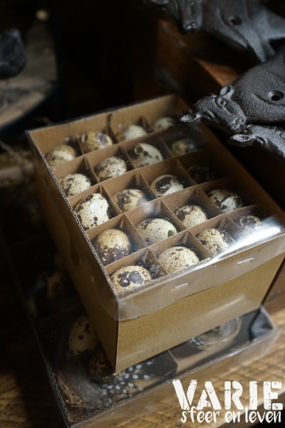 Kwarteleitjes in doosje – 60 stuks
