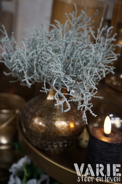 Zilverstruikje kunst