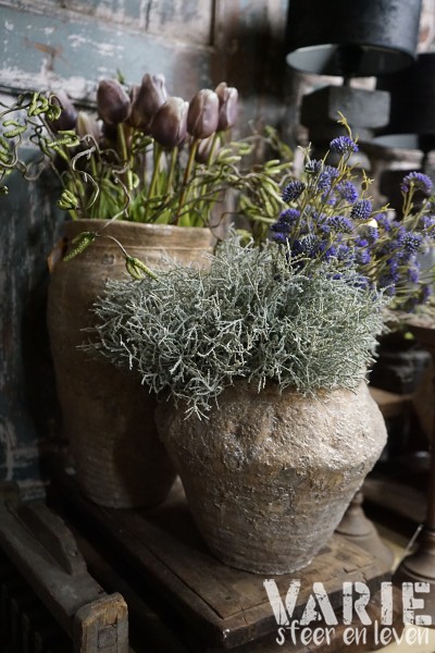 Zilverstruikje kunst - Afbeelding 5