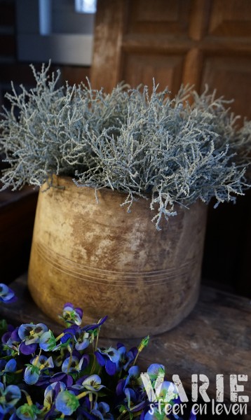 Zilverstruikje kunst - Afbeelding 9