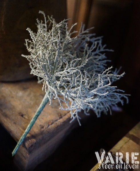 Zilverstruikje kunst - Afbeelding 7