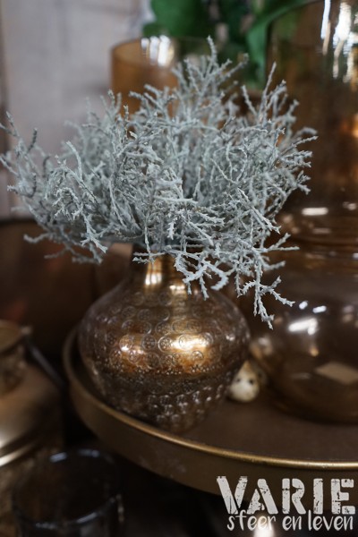 Zilverstruikje kunst - Afbeelding 8