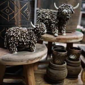 Countryfield Hooglander – 2 maten – sfeervolle blikvanger 🤎