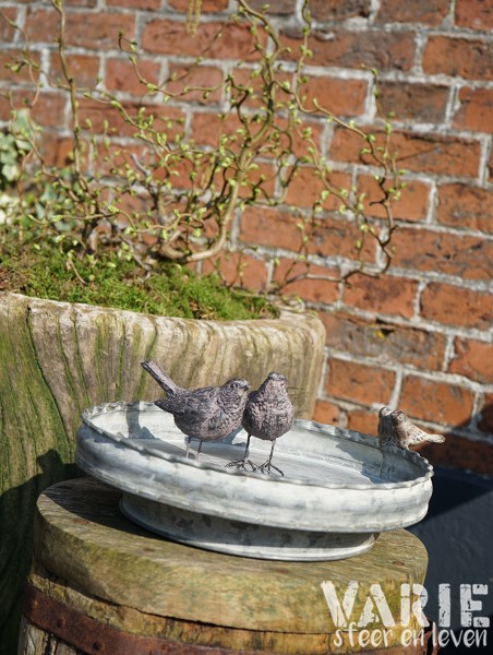 Voederschaal met vogeltjes verkrijgbaar in 2 maten