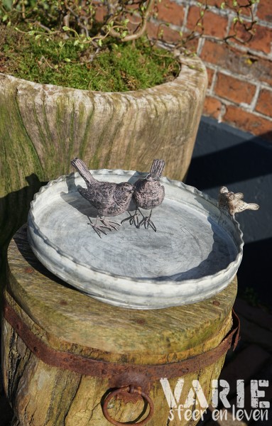 Voederschaal met vogeltjes verkrijgbaar in 2 maten - Afbeelding 3