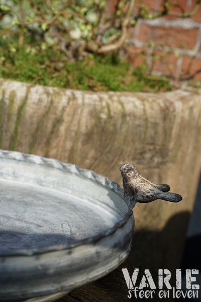 Voederschaal met vogeltjes verkrijgbaar in 2 maten - Afbeelding 7