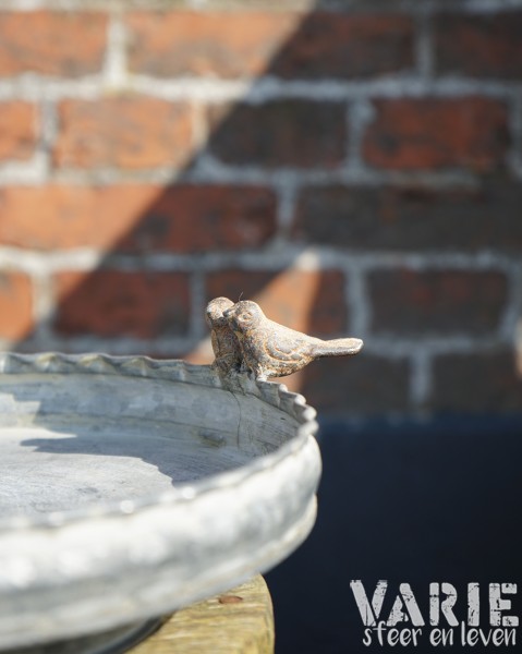 Voederschaal met vogeltjes verkrijgbaar in 2 maten - Afbeelding 6