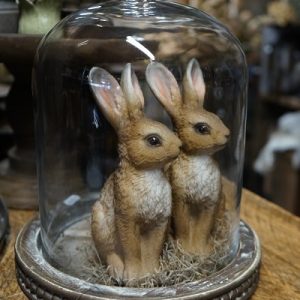 Glazen Stolp met Houten Onderzetter