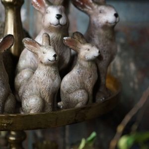 Sfeervolle hazen in 2 formaten