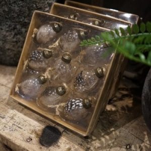 Glazen eitjes met veertje – set van 9