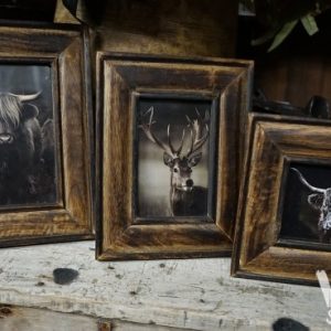 Fotolijsten – Bruin 3 maten.