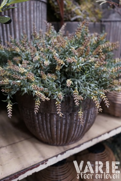 Kunst Lavendel toef Bruin/Crème tint – 35 cm - Afbeelding 5