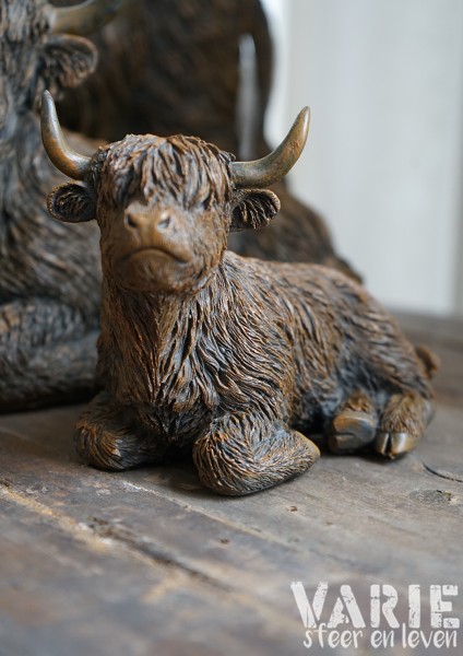 🐂 Hooglander liggend – 2 maten (Countryfield) 🐂 - Afbeelding 3
