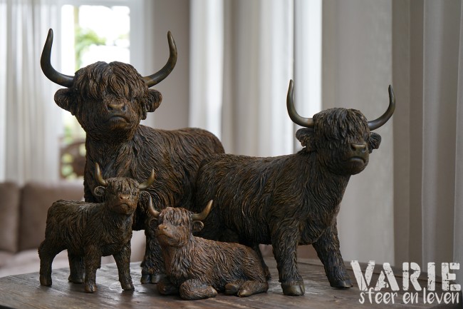 🐂 Hooglander liggend – 2 maten (Countryfield) 🐂 - Afbeelding 4