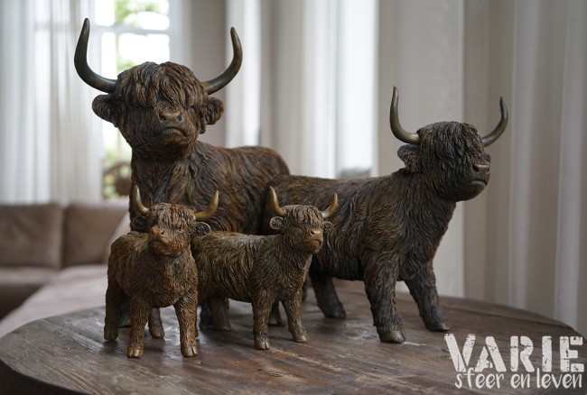 🐂 Hooglander staand – 3 maten (Countryfield) 🐂 - Afbeelding 3