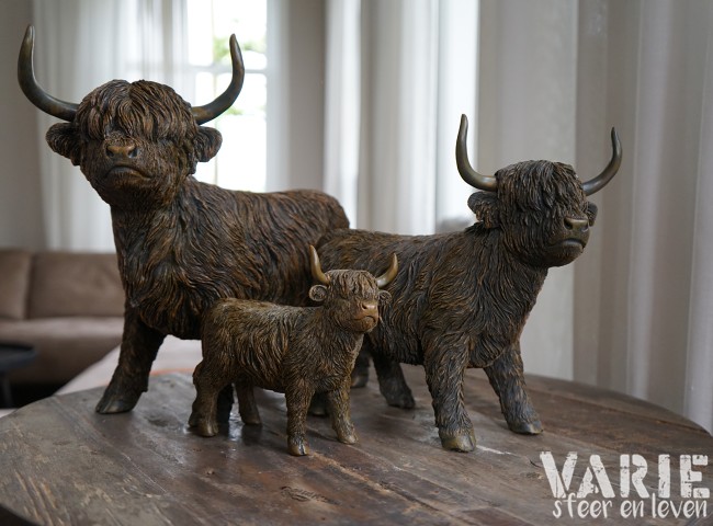 🐂 Hooglander staand – 3 maten (Countryfield) 🐂