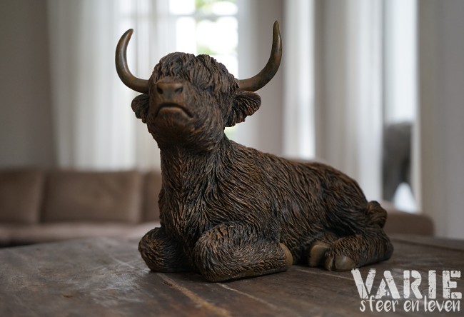 🐂 Hooglander liggend – 2 maten (Countryfield) 🐂 - Afbeelding 5